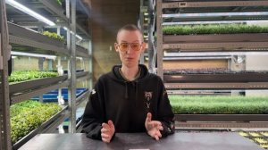 Как доставлять микрозелень? Бизнес микрозелень дома!