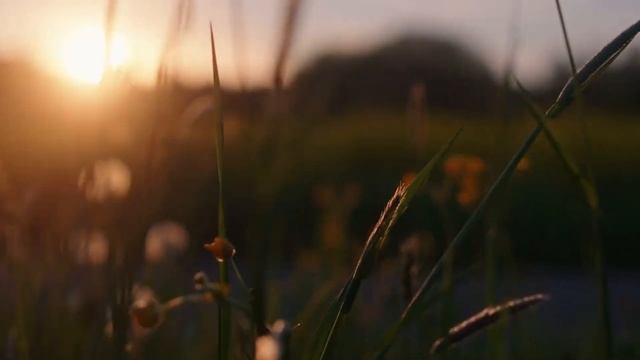 S O S cover Liubov СИГНАЛ БЕДСТВИЯ русская версия 2025 смотреть онлайн