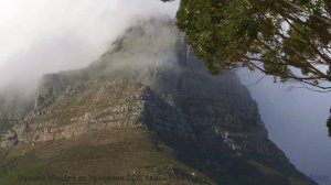 Пейзажи звучат сильнее любого оркестра здесь - Anything For Love -- Daniel Birch -- Stargazing
