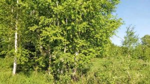 рыбалка на озере в Западной Сибири