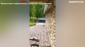 Новости Сегодня 22.05.2025 - Россия, Москва, Экстренный вызов новый выпуск, США Венс