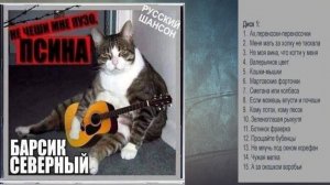 Песни кота Барсика Северного (песня под гитару)