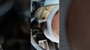 демонтаж егр Шкода суперб 2, снятие егр, снятие катализ