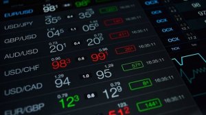 Customer Support Experience: A Newbie’s Perspective