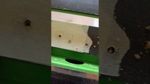 Петли бабочки установка шаблоном Солдатова