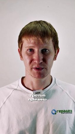 почему клопы лезут на стены и потолок?