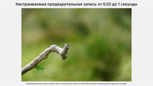 Sony A1 II – Флагман нового поколения в действии!