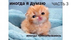 25.02.2025 Практическая работа №1 Часть 3