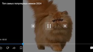 Хахахахахахахаахахахаххахахахахахах