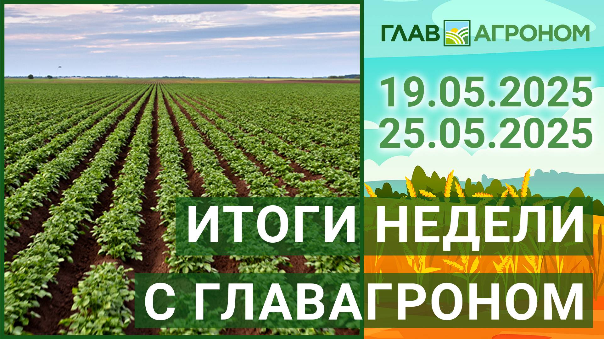 Итоги недели с ГлавАгроном. 19.05.2025 - 25.05.2025