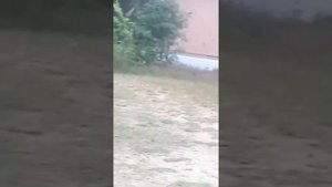 Мальчик в трусах 😨😨😨