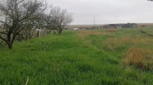 Обзор дома в станице Старощербиновской, который мы ре?