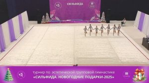 Турнир "Сильфида. Новогодние подарки - 2025" - Сильфида-Flex