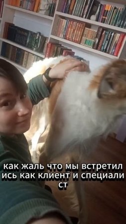 ТГК Борзой психолог