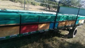 Прицепы для пчел на 30 семей. производство в Ингушетии ?