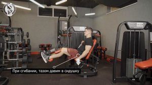 Сгибание голени сидя в тренажере
