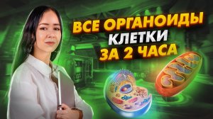 ВСЕ органоиды клетки ЗА 2 ЧАСА | Биология ЕГЭ 2025 Задания 5, 6, 7, 8 | Умскул