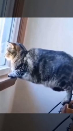 Держим баланс🤗