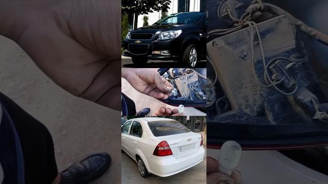 Nexia 3 orqa chiroq. Нексия задни фара смотреть онлайн