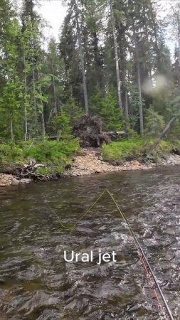Рыбалка на хариуса, ещё и на нахлыст, не так всё просто! Есть особенности стоянки хариуса! Ural jet