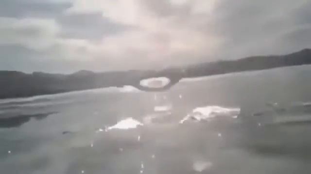 ТОП УПОРОТОСТИ - Не могут выбраться из машины ПАНИКА (Приколы TV) смотреть онлайн