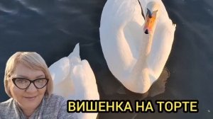 ПОКАЖИ ЕМУ ПОЗОР НА ВЕСЬ МИР! ОЛЬГА ИЗ ЗАУРАЛЬЯ. ОБЗОР.