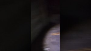 Начало ремонта подпола
