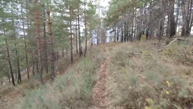 ПОЕХАЛИ ЭНДУРИТЬ🪵🌳🌲. ВЫЛЕТЕЛ ГЛУШИТЕЛЬ, НЕ ЗАЕХАЛ ? смотреть онлайн