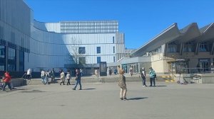 Питер Будни Пионерская Гармония