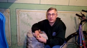 Вырастил картофель, сорт Пикассо - отзыв