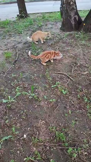 22-05-2025 смотреть онлайн