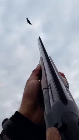 Охота на Утку 🦆🎯