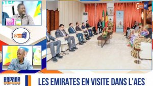 Les Emirates arabes-unis en visite dans l'AES