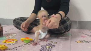 Обезьянка крошка БУКАШКА на ладошке обнимает маму играет игрушками Пьет молоко из соски уселась на р
