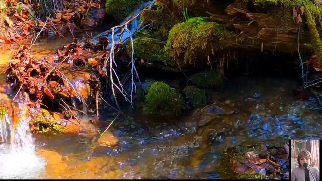 Заведующая садика, неожиданно для всех предложила дол смотреть онлайн