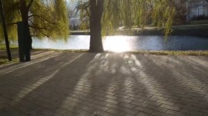 Дворник-Таджик-Русский-Полицейский. Серия 1. Тук-тук фр