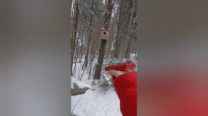 Самодельный Сигнальный пистолет|Стрельба #пистолет #своимируками