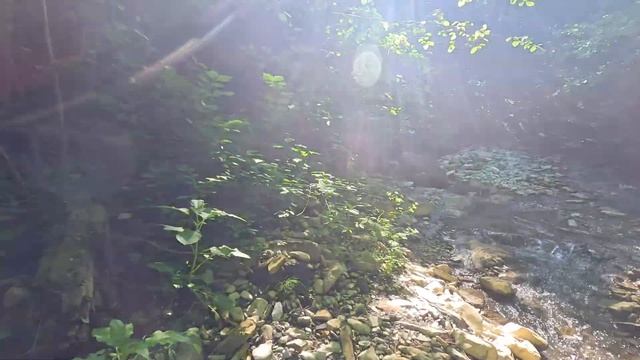 ТЯЖЕЛЫЙ ПОХОД ДО ВОДОПАДА - ОНО МНЕ НАДО? смотреть онлайн