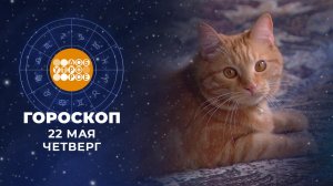 Гороскоп на 22 мая. Доброе утро. Фрагмент выпуска от 22.05.2025