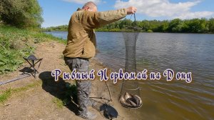 Рыбный Первомай на Дону
