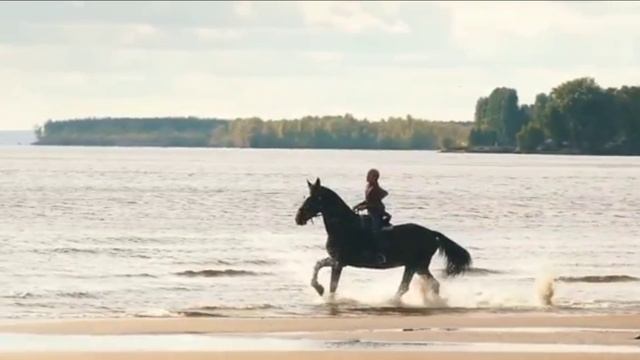 РУССКАЯ МУЗЫКА 202 5   ХИТЫ 202 5  НОВИНКИ МУЗЫКИ 2024 - ЛУЧШИЕ ПЕСНИ 202 5РЕМИКСЫ 202 5 ТАНЦ