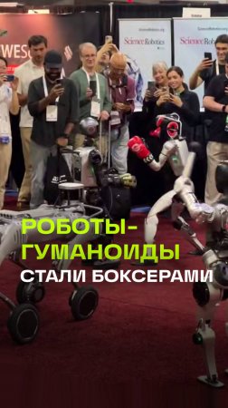 Боксерский поединок между двумя человекоподобными роботами
