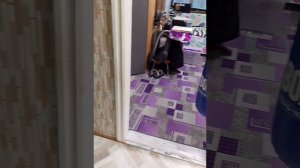 Домашний баскетбол, Адам Кириленко и Руслан Джордан
