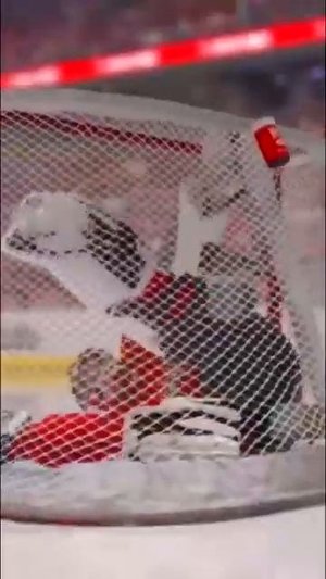 #Nonplastichockey#NHL#NHL24#proplayers#shorts Manual goalkeeper vs Datsyuk's hockey trick