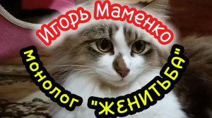 ЮМОР. ИГОРЬ МАМЕНКО монолог ЖЕНИТЬБА