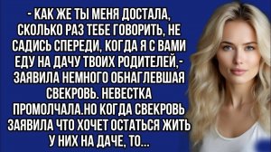- Как же ты меня достала, сколько раз тебе говорить, не садись спереди, когда я с вами еду на дачу