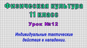 Физическая культура 11 класс (Урок№12 - Индивидуальные тактические действия в нападении.)