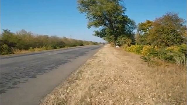 ЭТОТ бензонасос в 2 РАЗА уменьшает РАСХОД. Главный СЕК? смотреть онлайн