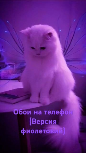 #обои#фиол#фиолетовий#говрек#рек #реки#рекомендации#гл смотреть онлайн