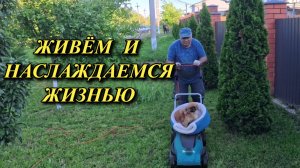 905 Живём в Краснодарском крае/Обзор наших покупок/Сад на Кубани
